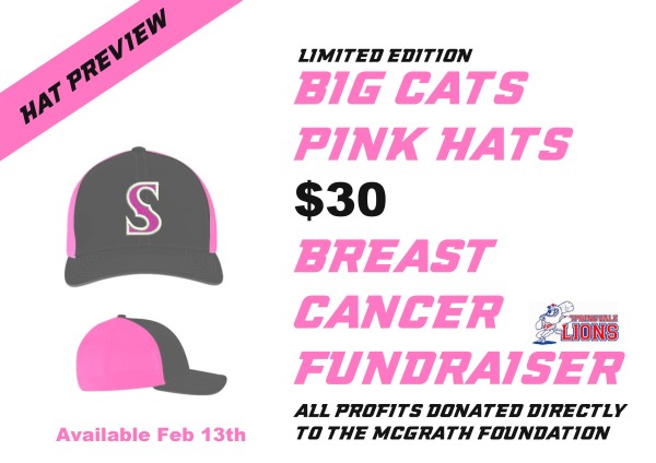 Pink Hat Preview Jan 2016